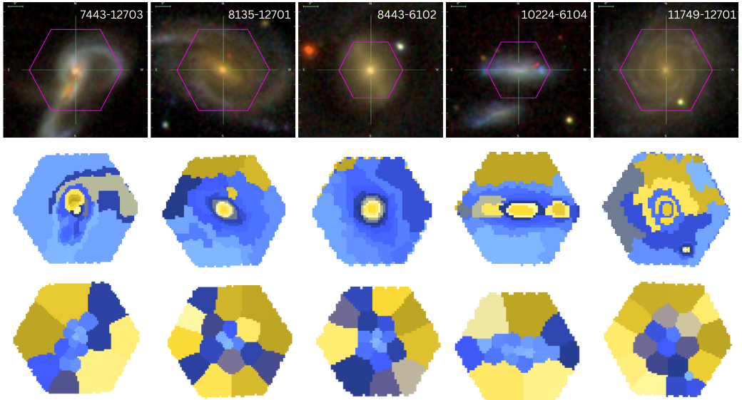 Current Capivara mosaic