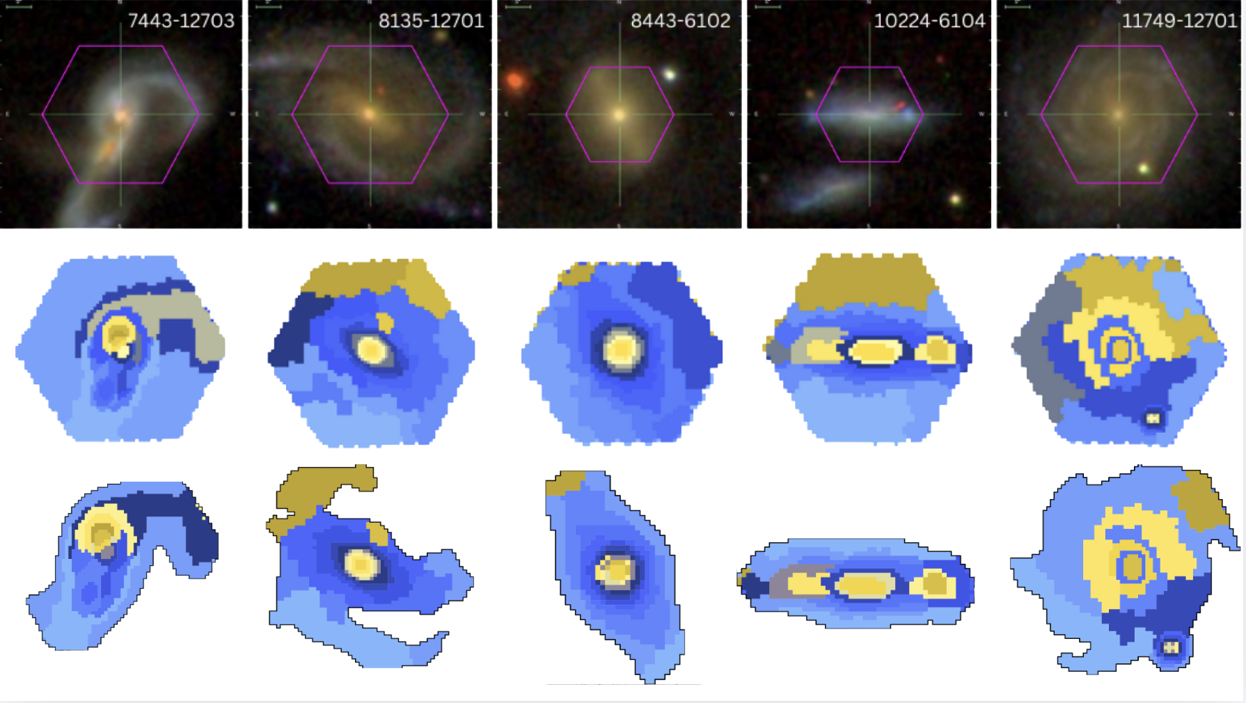 Sagui comparison mosaic